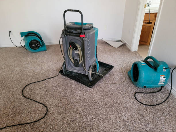 Local water damage restoration in Boles Acres, NM