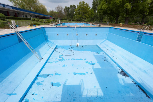 Best Sewage cleanup and water damage restoration  in Boles Acres, NM