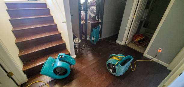 Reliable Boles Acres, NM Water damage restoration Solutions