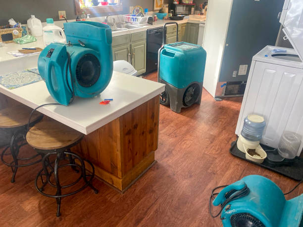 Best Commercial water damage restoration  in Boles Acres, NM