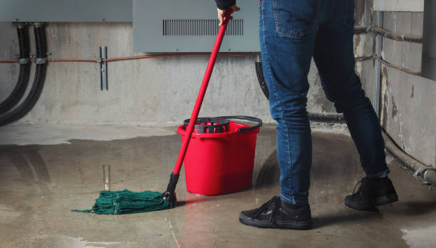 Best Water damage contractors near me  in Boles Acres, NM