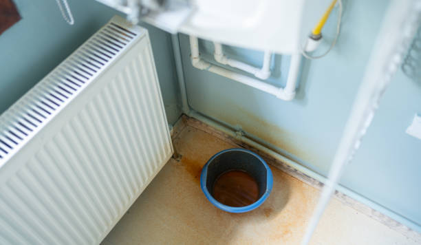 Best Local water damage restoration  in Boles Acres, NM