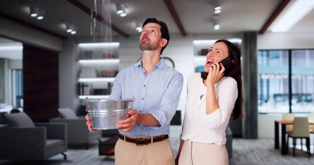 Best Water damage cleanup near me  in Boles Acres, NM